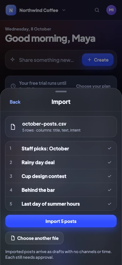 Importing five posts from a spreadsheet on a phone