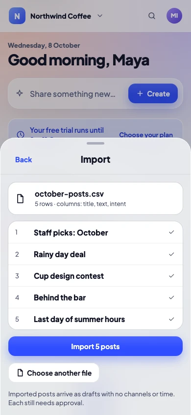 Importing five posts from a spreadsheet on a phone