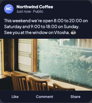 The Facebook preview