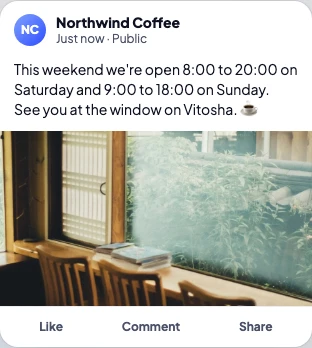 The Facebook preview