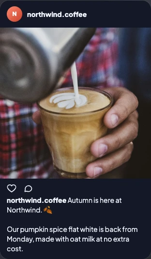 The Instagram post preview