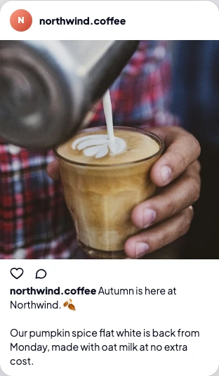 The Instagram post preview