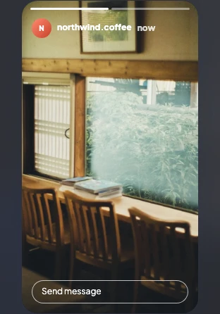 The Instagram Story preview