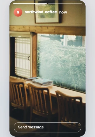 The Instagram Story preview